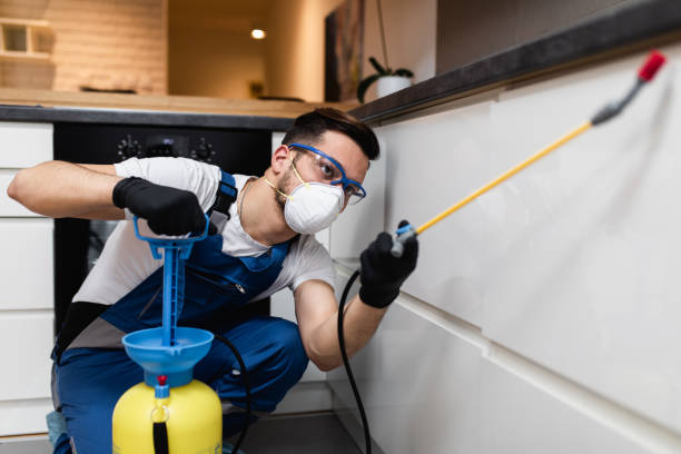 Best Rat Extermination Near Me  in Sandia Heights, NM