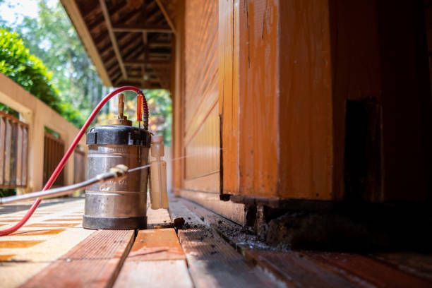 Best Best Pest Control Companies  in Sandia Heights, NM