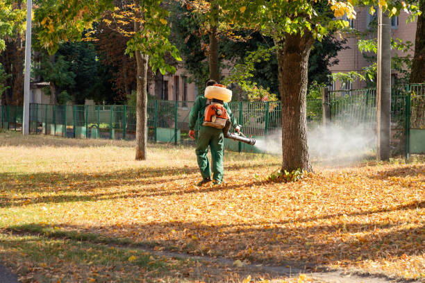 Best Pest Removal Services  in Sandia Heights, NM